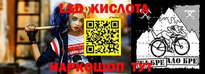 бошки Кингисепп