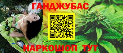бошки Кингисепп