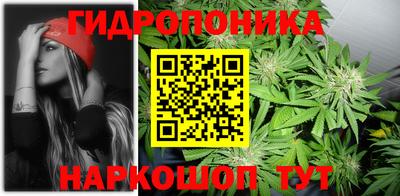 круглые Кимры