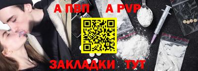 бошки Кингисепп