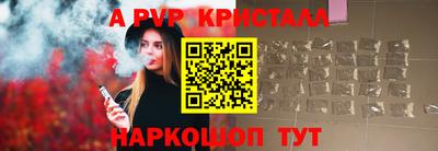 бошки Кингисепп