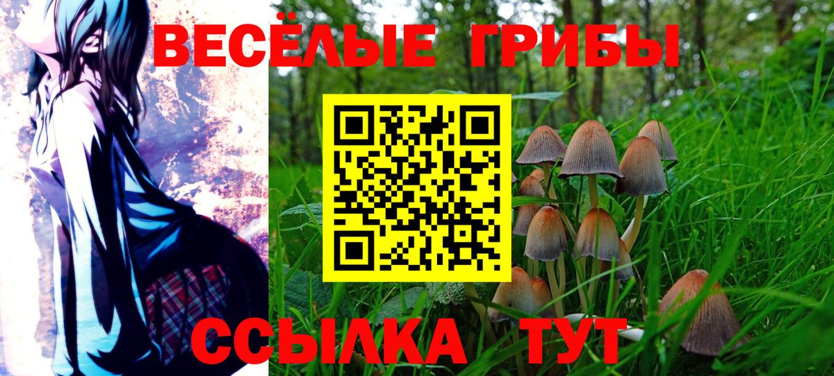 Псилоцибиновые грибы Psilocybe  Вход с VPN  Коркино 