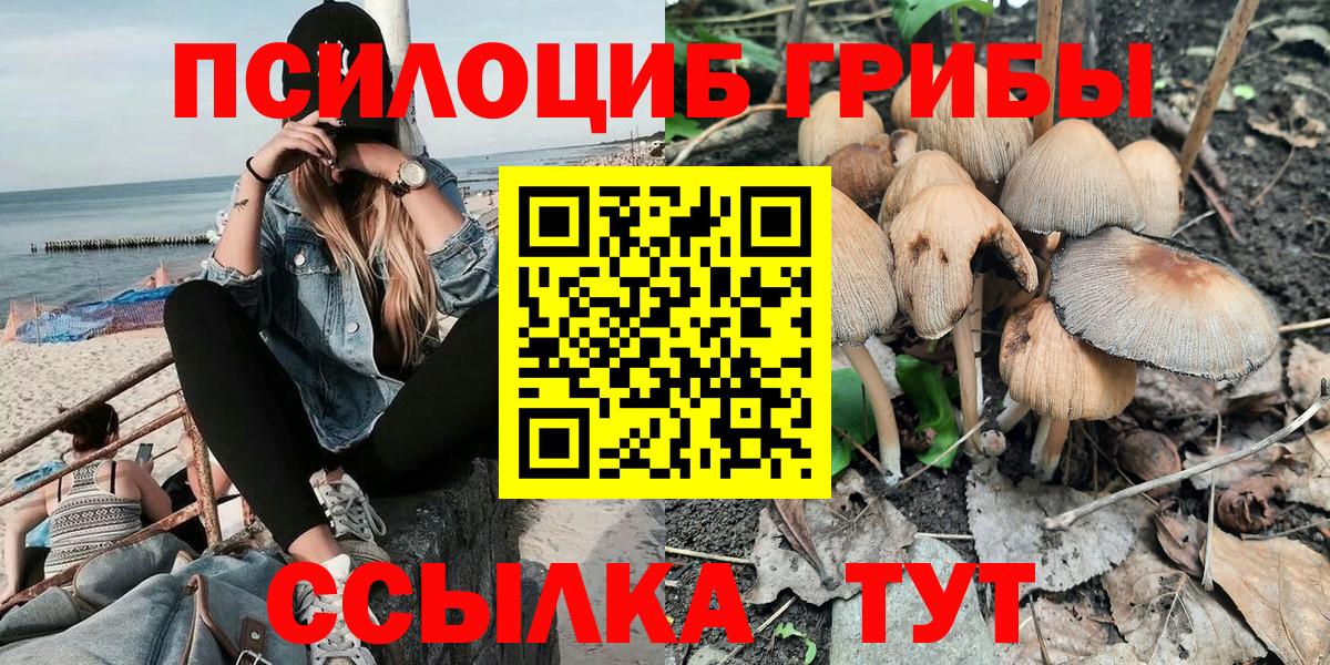 Галлюциногенные грибы Psilocybine cubensis Коркино